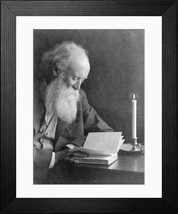 Framed Print : John Burroughs (1837-1921), American naturalist author reading by candlelight. Ca. 1910