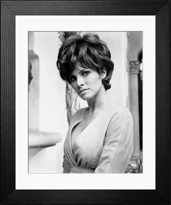 Framed Print : LADY IN CEMENT, Raquel Welch, 1968, 20th Century-Fox Film Corporation, TM & Copyright / courtesy Everett Collection Framed Print : LADY IN CEMENT, Raquel Welch, 1968, 20th Century-Fox Film Corporation, TM & Copyright / courtesy Everett Collection