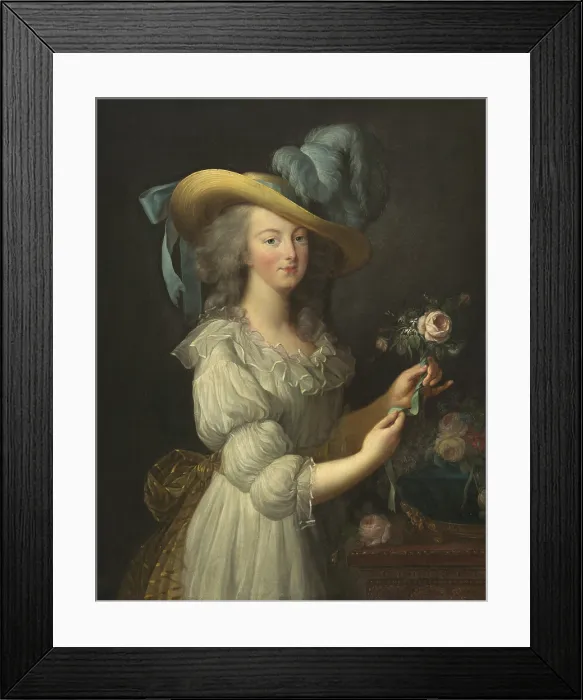 Framed Print : Marie-Antoinette, by Elisabeth-Louise Vigee Le Brun, 1783, French painting, oil on canvas Framed Print : Marie-Antoinette, by Elisabeth-Louise Vigee Le Brun, 1783, French painting, oil on canvas