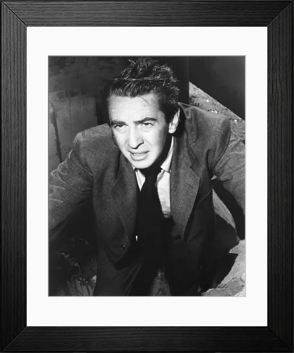 Framed Print : THE LAWLESS, Macdonald Carey, 1950