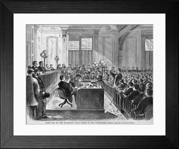 Framed Print : The trial of Daniel McFarland for the murder of Richardson, the suspected seducer of his wife, Abby Sage