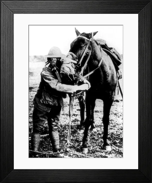Framed Print : American soldier demonstrates gas masks for man and horse during World War I. Ca. 1917-18