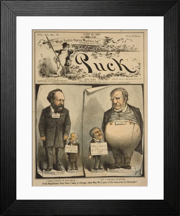 Framed Print : 1880 Presidential election cartoon, showing candidates James A. Garfield, Chester Arthur, Samuel J