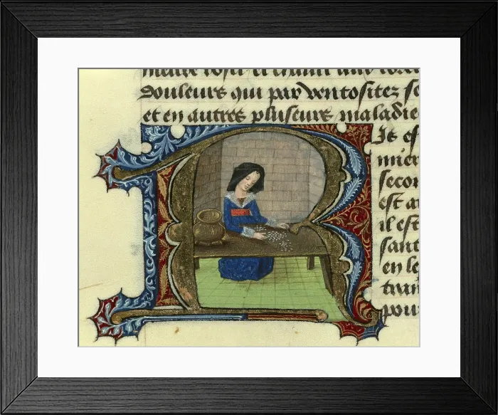 Framed Print : FIRENZE, Aldebrando da (14th century). Treatise on medicine. 1356. Fol. 74r. Properties of rice. Gothic art. Miniature Painting. PORTUGAL. Lisbon. Ajuda Library