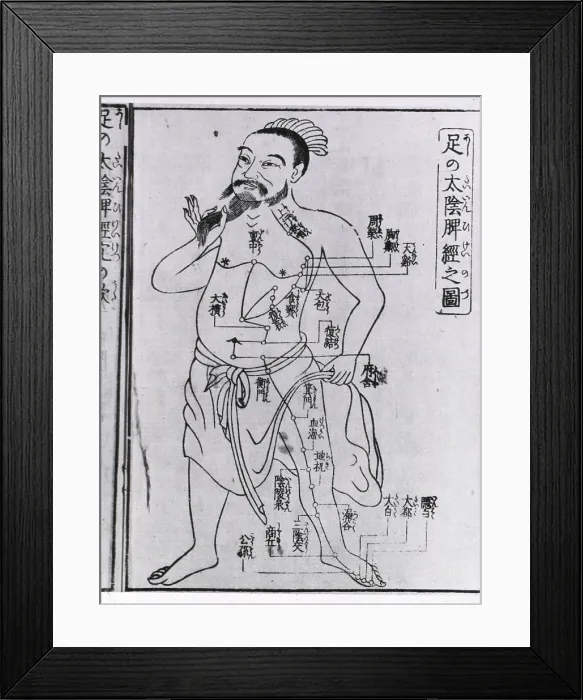 Framed Print : Bearded figure with acupuncture points and meridians labeled with Japanese characters. From a medical text published in Osaka, Japan, 1805 Framed Print : Bearded figure with acupuncture points and meridians labeled with Japanese characters. From a medical text published in Osaka, Japan, 1805