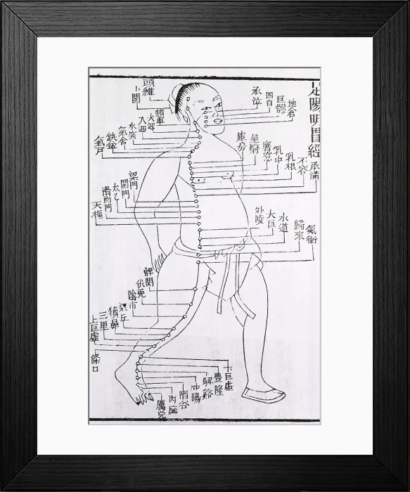 Framed Print : Figure with acupuncture points and meridian for stomach and foot disorders annotated with Chinese characters in a 1875 text