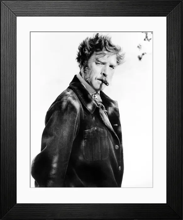 Framed Print : THE LEOPARD, (aka IL GATTOPARDO), Burt Lancaster, 1963, TM and Copyright 20th Century Fox Film Corp. All rights reserved. Courtesy: Everett Collection
