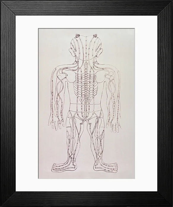 Framed Print : Model for acupuncture, an engraving from GRANDEUR AND SUPREMACY OF PEKING, by Alphonse Hubrecht, 1928. Engraving
