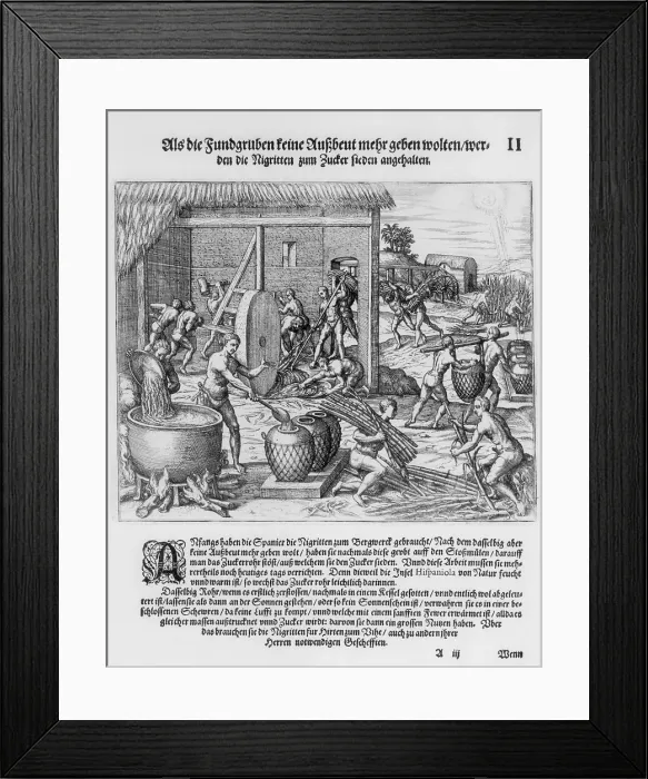 Framed Print : African slaves processing sugar cane on Hispaniola. 1595 engraving by Theodor de Bry show harvesting the cane, a slave powered grinding mill, and boiling cane juice Framed Print : African slaves processing sugar cane on Hispaniola. 1595 engraving by Theodor de Bry show harvesting the cane, a slave powered grinding mill, and boiling cane juice