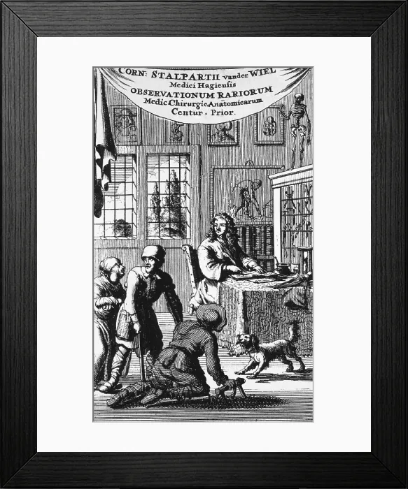 Framed Print : Patients arrive in the physician's office in 17th century Netherlands