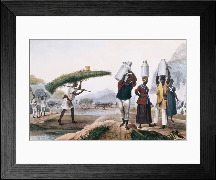 Framed Print : DEBRET, Jean Baptiste (1768-1848). A Colourful and Historic Journey to Brazil. 1839. Milk and capin (plant) sellers. Costumbrism. Litography Framed Print : DEBRET, Jean Baptiste (1768-1848). A Colourful and Historic Journey to Brazil. 1839. Milk and capin (plant) sellers. Costumbrism. Litography