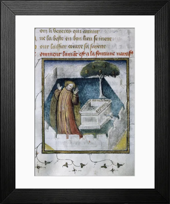 Framed Print : The Romance of the Rose. s.XIV. The young lover, redeemer of the garden of delight, reaches a source and finds an inscription saying that there brother Narcissus died. Gothic art