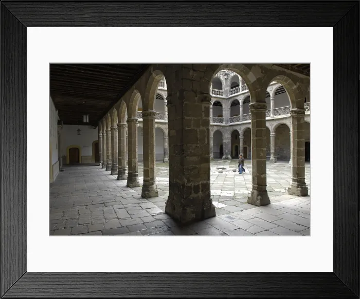 Framed Print : SPAIN. Valladolid. Colegio Mayor de Santa Cruz. Courtyard. Renaissance art. - Rafa Perez / Iberfoto / Everett Collection (254094)**US SALES ONLY**