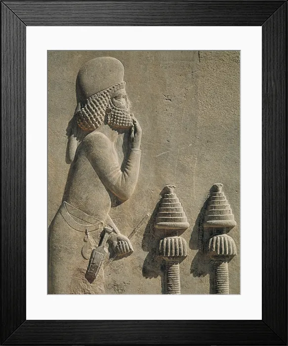 Framed Print : IRAN. Persepolis. Palace of Darius. Medo official', relief located in the Palace's treasure offices. Persian art. Achaemenid period. Relief on rock