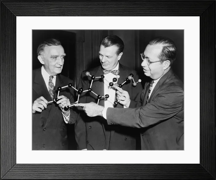 Framed Print : Scientists with a model of the molecular structure of cortisone. Senator Joseph O'Mahoney (center), with National Institute of Health scientists Dr. Floyd S