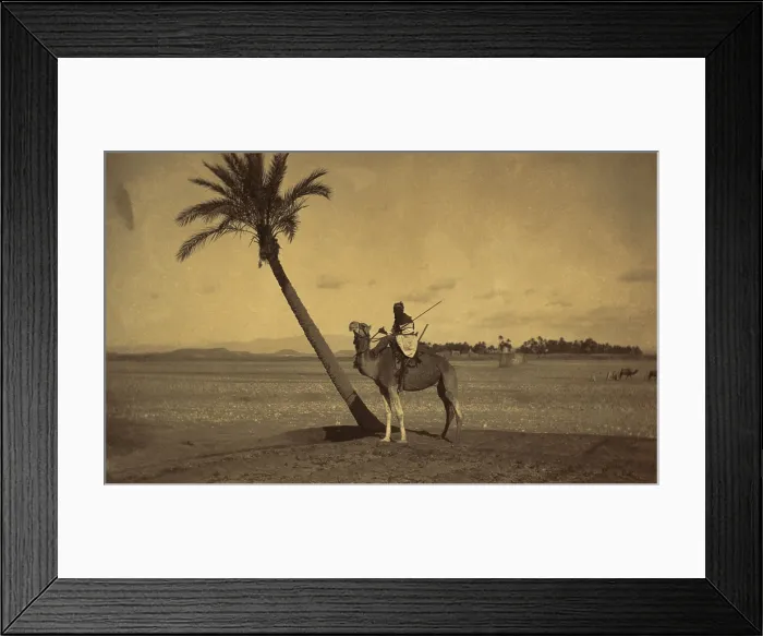 Framed Print : Algerian camel rider next to a palm tree in a desert landscape. Photo attributed to Tancrede R. Dumas between 1860-1900. LC-DIG-ppmsca-04408
