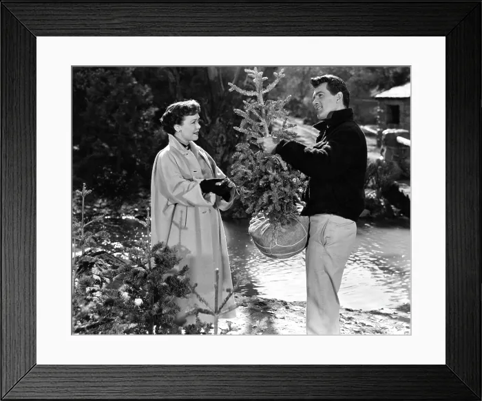 Framed Print : ALL THAT HEAVEN ALLOWS, Jane Wyman, Rock Hudson, 1955