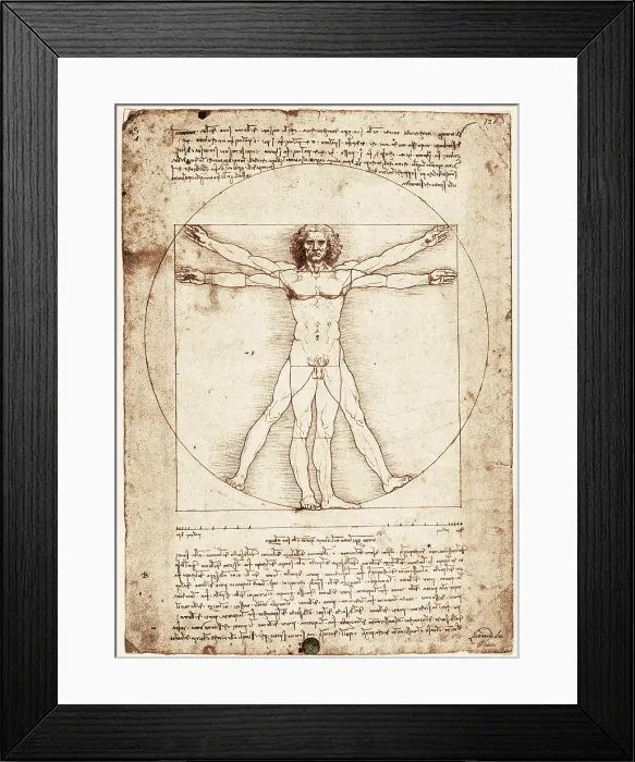 Framed Print : Vitruvian Man. 1492. Renaissance art. Cinquecento. Drawing. ITALY. Venice. Gallerie dell'Accademia (Academy Gallery). - Iberfoto / Everett Collection (593310)**US SALES ONLY**