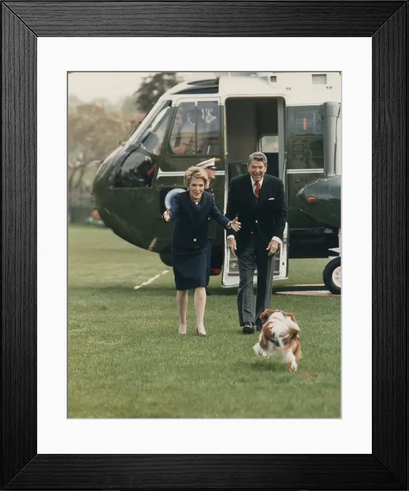 Framed Print : The Reagan's being greeted by their dog Rex after returning from Camp David via the presidential helicopter Marine-1. April 20 1986. (BSLOC_2011_2_28) Framed Print : The Reagan's being greeted by their dog Rex after returning from Camp David via the presidential helicopter Marine-1. April 20 1986. (BSLOC_2011_2_28)