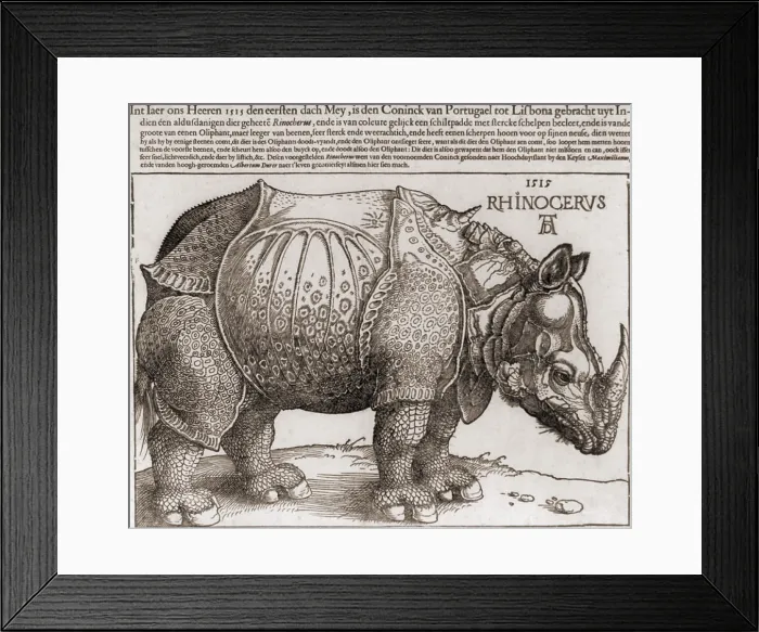 Framed Print : THE RHINOCEROS, Woodcut by Albrecht Durer, (1471-1528), drawn from the description of an Indian rhinoceros