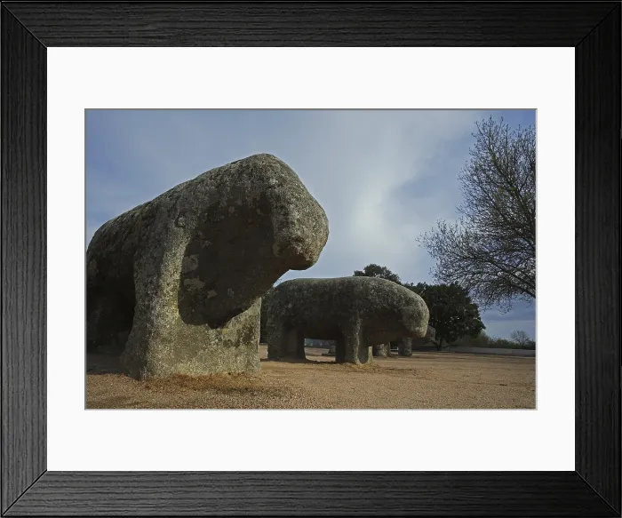 Framed Print : Bulls of Guisando. 3rd BC. SPAIN. El Tiemblo. Iberian art. Sculpture on rock. - Cardinalia / Iberfoto / Everett Collection (254774)**US SALES ONLY**