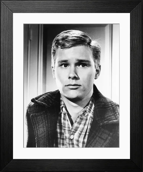 Framed Print : ALL FALL DOWN, Brandon De Wilde, 1962
