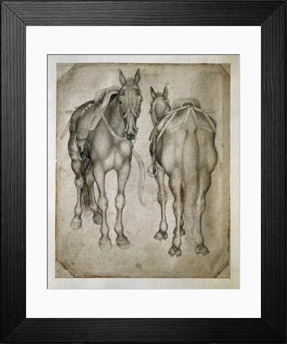 Framed Print : PISANELLO, Antonio di Puccio Pisano, called (1395-1455). Study of Two Horses. beg. 15th c. Skecht. Renaissance art. Quattrocento. Drawing. FRANCE. Paris. Louvre Museum