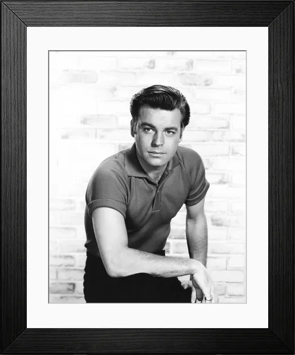 Framed Print : ALL THE FINE YOUNG CANNIBALS, Robert Wagner, 1960 Framed Print : ALL THE FINE YOUNG CANNIBALS, Robert Wagner, 1960