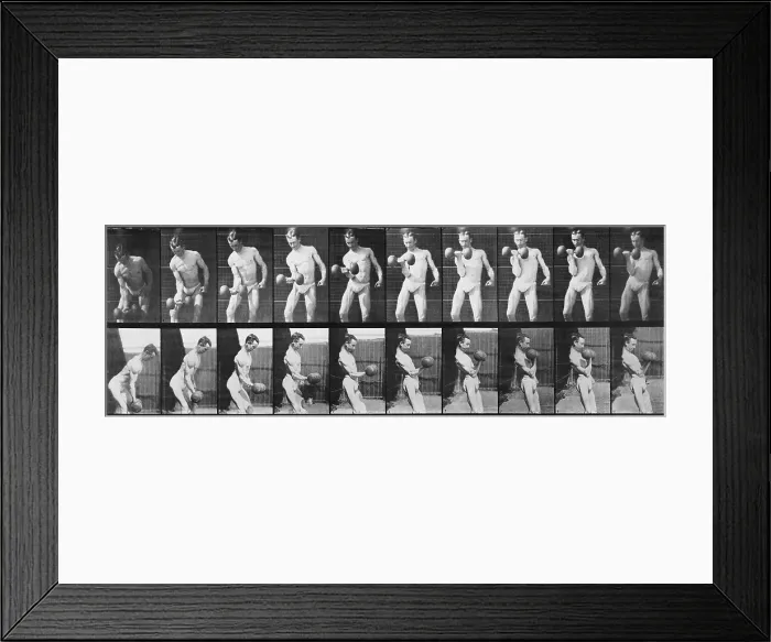 Framed Print : Consecutive images of man lifting a dumbbell. From Eadweard Muybridge's, ANIMAL LOCOMOTION, 1887 Framed Print : Consecutive images of man lifting a dumbbell. From Eadweard Muybridge's, ANIMAL LOCOMOTION, 1887