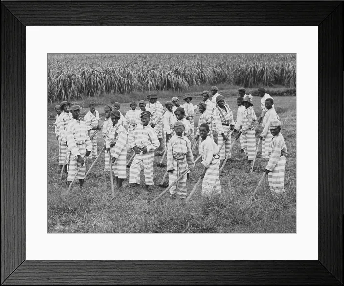 Framed Print : Juvenile convicts at work in the fields in Southern chain gang. Southern jails made money leasing convicts for forced labor in the Jim Crow South. Circa. 1903