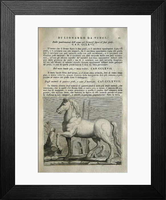 Framed Print : LEONARDO DA VINCI (1452-1519). 'Teatrise on Painting'. Edition printed in Naples by Francesco Ricciardo and Vincenzo and Nicola Rispoli (1733) Framed Print : LEONARDO DA VINCI (1452-1519). 'Teatrise on Painting'. Edition printed in Naples by Francesco Ricciardo and Vincenzo and Nicola Rispoli (1733)