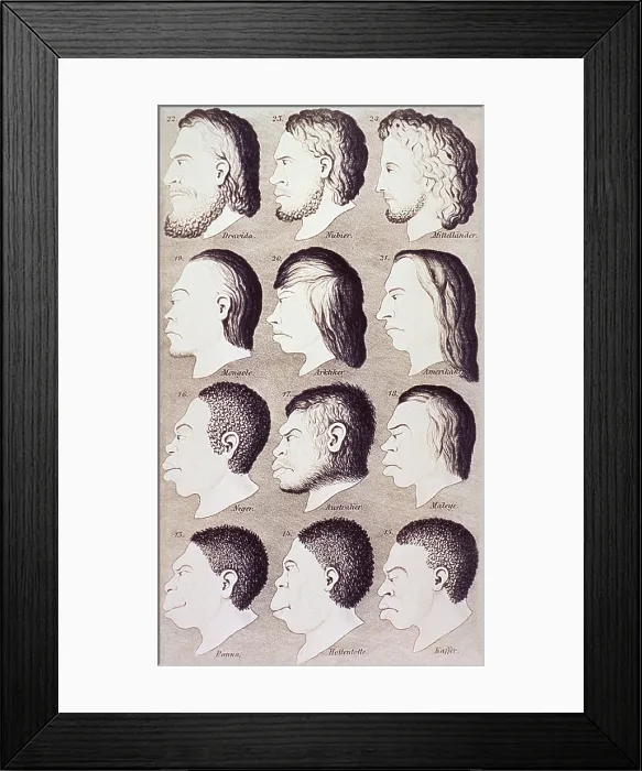 Framed Print : A series of human heads from difference races and ethnicities progressively develop from an idealized Caucasian profile to stereotypes of non-Europeans Framed Print : A series of human heads from difference races and ethnicities progressively develop from an idealized Caucasian profile to stereotypes of non-Europeans