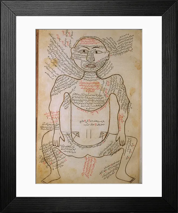 Framed Print : The human musculature, from MANSUR'S ANATOMY, authored by the Persian scholar and physician, Mansur ibn Ilyas (ca. 1370-1423)