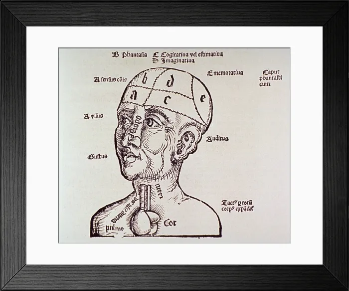 Framed Print : Human head and shoulders with heart and brain shown; some of the senses and their corresponding body parts, as well as particular sections of the brain, are identified