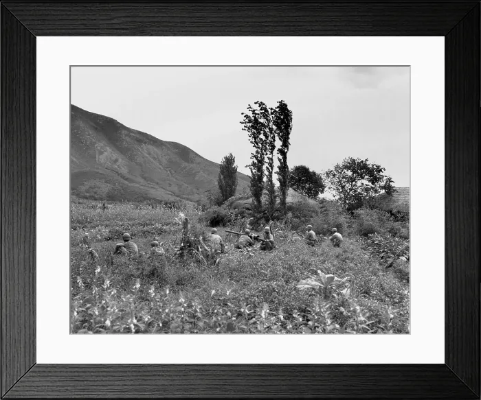 Framed Print : Marines of an Anti-Tank Company fire a 75mm recoilless rifle during the Battle of Obong-ni Ridge, August 17-19, 1950