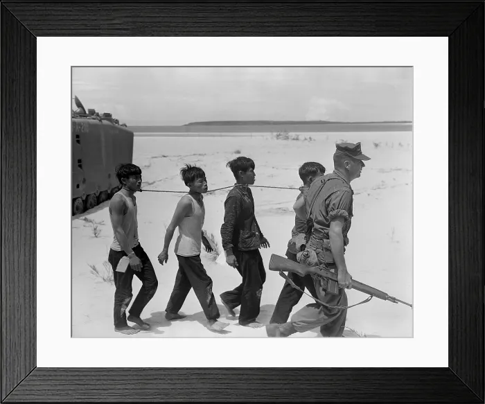 Framed Print : POWS tied together by the neck. Viet Cong prisoners led away for evacuation. The four were veteran fighters with old bullet wounds. July 25, 1965