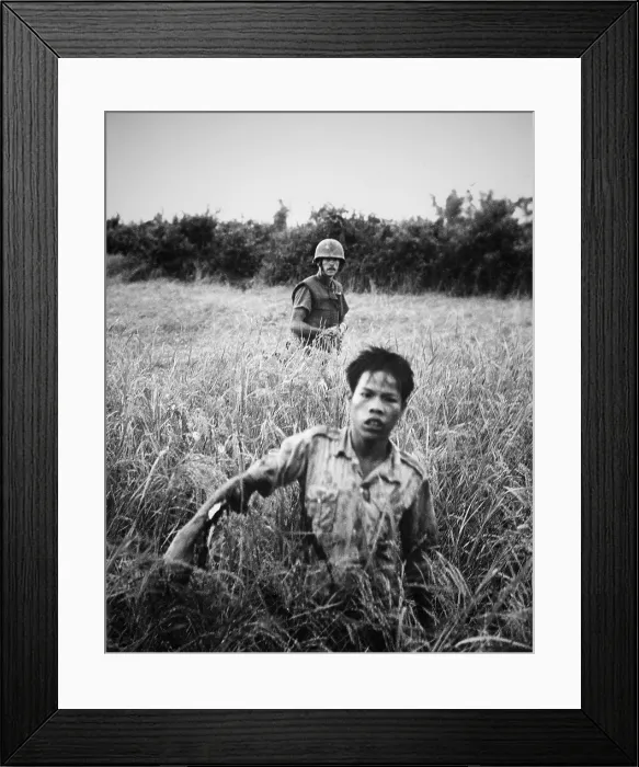 Framed Print : US Marine with Viet Cong POW. A marine guards a Viet Cong as he moves through tall grass toward the collection point during a security operation, Operation Golden Fleece