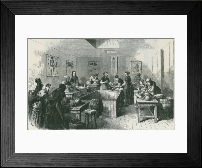 Framed Print : Women medical students dissecting cadavers at the Medicine College for Women in 1870