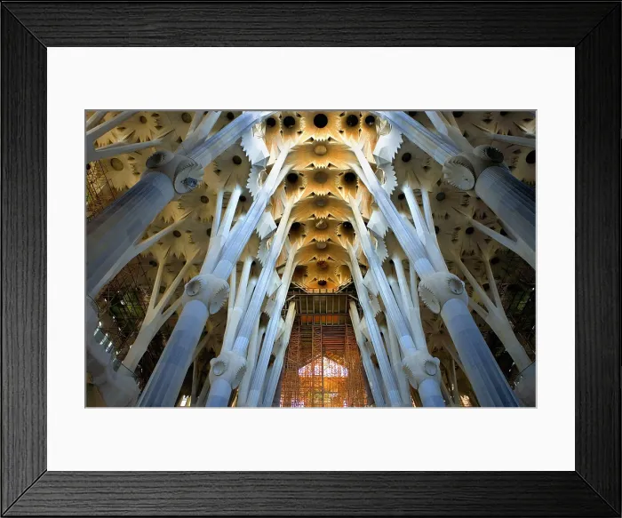 Framed Print : SPAIN. Barcelona. Expiatory Church of the Holy Family. Inside. Columns in the main nave. Modernism. Architecture Framed Print : SPAIN. Barcelona. Expiatory Church of the Holy Family. Inside. Columns in the main nave. Modernism. Architecture
