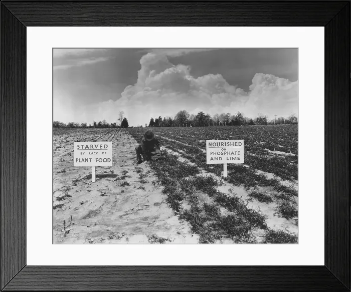 Framed Print : 1930 New Deal programs promoted chemical fertilizers for their efficiency and effectiveness