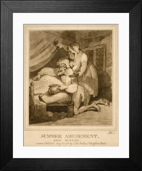 Framed Print : 18th century English cartoon, SUMMER AMUSEMENT-BUGG HUNTING, shows and elderly couple catching bedbugs. Aquatint etching published by Isaac Cruikshank, 1782 Framed Print : 18th century English cartoon, SUMMER AMUSEMENT-BUGG HUNTING, shows and elderly couple catching bedbugs. Aquatint etching published by Isaac Cruikshank, 1782
