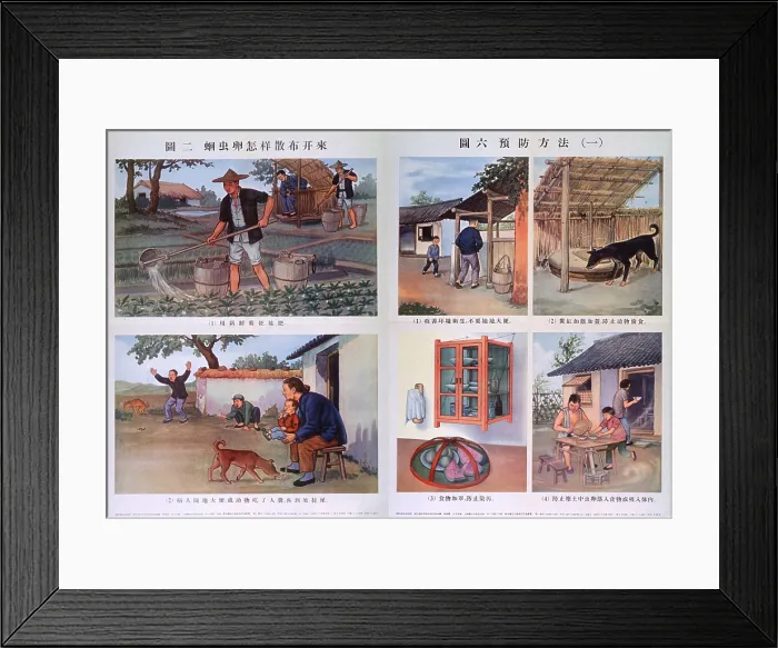 Framed Print : Public health education in Red China. Two posters contrast bad hygiene (at left), with good practices (at right), in an attempt to educate China's rural population