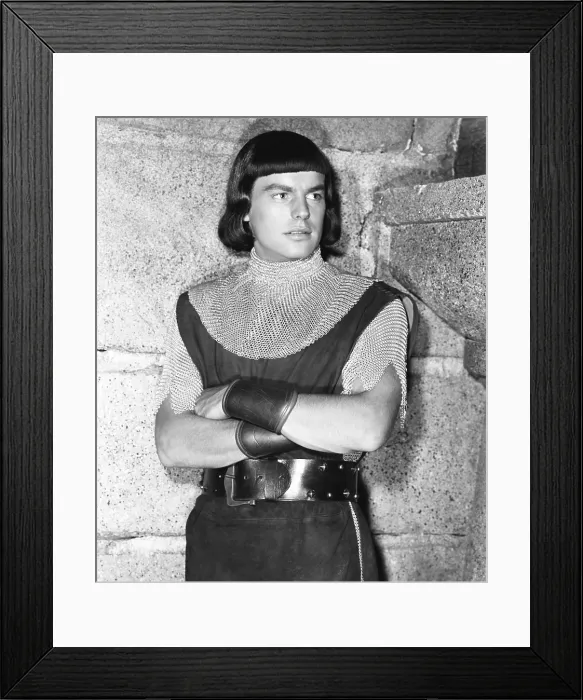 Framed Print : PRINCE VALIANT, Robert Wagner, 1954, 20th Century Fox, TM & Copyright / Courtesy: Everett Collection Framed Print : PRINCE VALIANT, Robert Wagner, 1954, 20th Century Fox, TM & Copyright / Courtesy: Everett Collection