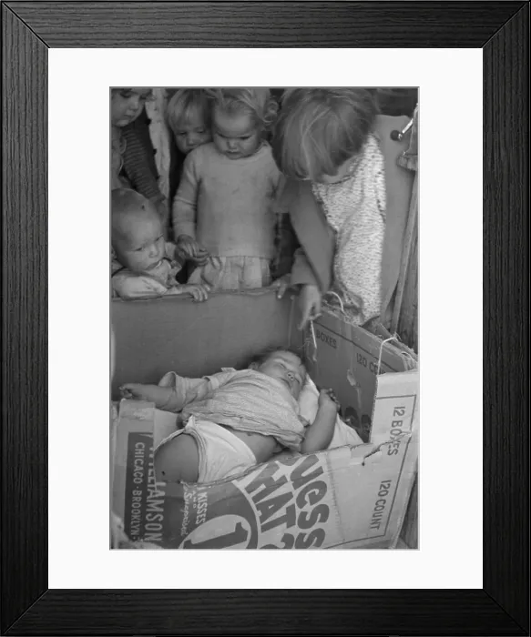 Framed Print : Baby in a cardboard box crib at a Kern California migrant camp pre-school while mother works in the fields. Nov. 1936 photo by Dorothea Lange Framed Print : Baby in a cardboard box crib at a Kern California migrant camp pre-school while mother works in the fields. Nov. 1936 photo by Dorothea Lange