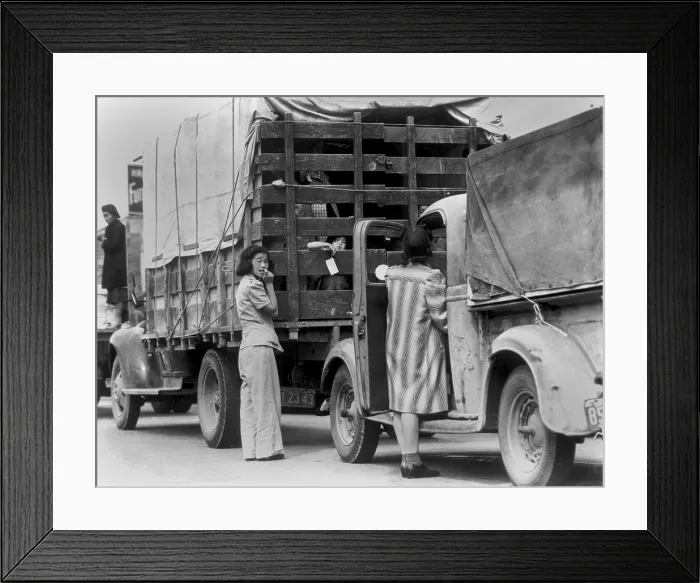 Framed Print : Trucks removing Japanese American and their luggage from Redondo Beach, California. Women hover near the trucks and a child can be seen looking out from the truck
