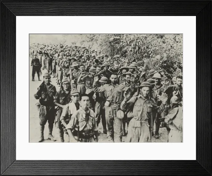 Framed Print : Bataan Death March, when about 12, 000 American and 63, 000 Filipino POWs were force-marched Framed Print : Bataan Death March, when about 12, 000 American and 63, 000 Filipino POWs were force-marched