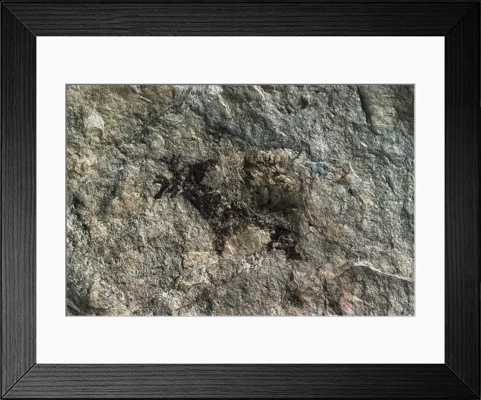 Framed Print : SPAIN. El Perello. Cave of La Cabra Freixet. Deer (25000-15000 BC). Upper Paleolithic. Cave. - Ramon Vinas / Iberfoto / Everett Collection (554358)**US SALES ONLY**