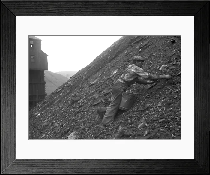 Framed Print : During the Great Depression a man salvages good coal from slag heaps at Nanty Glo, Pennsylvania, for which he is paid ten cents per 100 pounds. 1937 photo by Ben Shahn Framed Print : During the Great Depression a man salvages good coal from slag heaps at Nanty Glo, Pennsylvania, for which he is paid ten cents per 100 pounds. 1937 photo by Ben Shahn