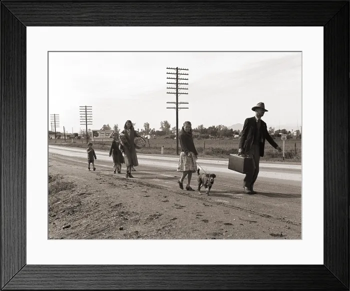 Framed Print : Homeless migrant family of seven, walking the highway from Phoenix, Arizona, where they picked cotton