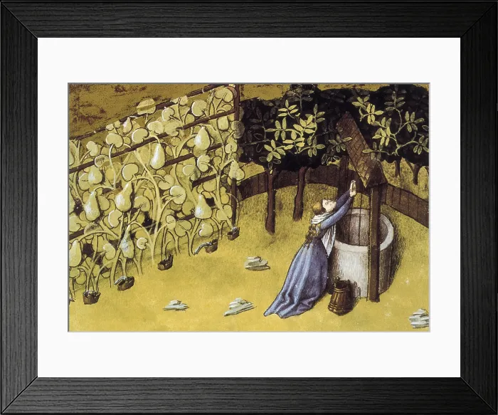 Framed Print : Codex Granatensis: De natura rerum. 1400. Illustration about the cucumber. Edition of Granada of the original of the 13th C. Gothic art. Miniature Painting. SPAIN. Granada Framed Print : Codex Granatensis: De natura rerum. 1400. Illustration about the cucumber. Edition of Granada of the original of the 13th C. Gothic art. Miniature Painting. SPAIN. Granada